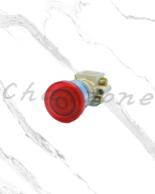 天得科技 Ø22/Ø25/Ø30直接式照光按鈕開關 T2IBR