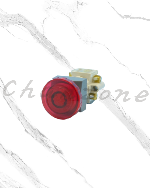 天得科技 Ø22/Ø25/Ø30直接式照光按鈕開關 T2IMS