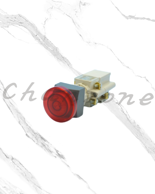 天得科技 Ø22/Ø25/Ø30照光式按鈕開關 T2TBS