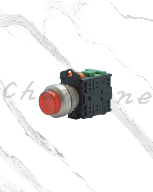 天得科技 Ø22/Ø25/Ø30直接式照光按鈕開關 TN2IA