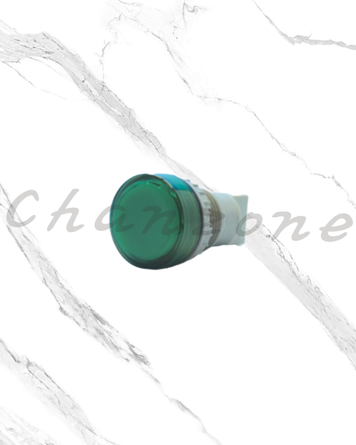 天得科技 Ø22/Ø25/Ø30直接式指示燈 TN2L