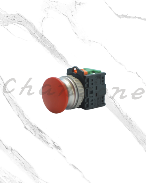 天得科技 Ø22/Ø25/Ø30按鈕開關 TN3BM