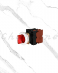 山河電機 ø30-平面型系列 切替開關 SHDS-301G/SHDIS-301G/SHDS-302G