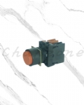 山河電機 ø22.25.30-SHD系列 平形/凸頭押扣開關 SHDT-221/223