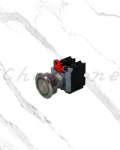 山河電機 ø30-SSB系列 金屬平面/指示照光按鈕 SSBP-301/SSBI-304/SSBB-301/SSBT-301/SSBIS-301/SSBS-301