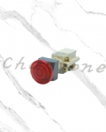 天得科技 Ø22/Ø25/Ø30照光式按鈕開關 T2TBS