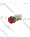 天得科技 Ø22/Ø25/Ø30照光式按鈕開關 T2TMS