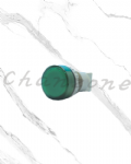 天得科技 Ø22/Ø25/Ø30直接式指示燈 TN2L